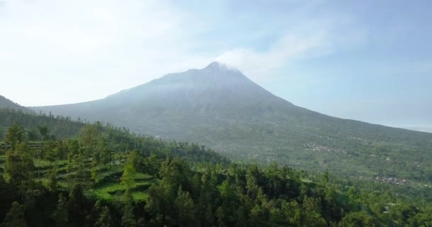 Volo Aereo Avanti Sopra Piantagione Vegetale Gigante Vulcano Merapi Sullo — Video Stock