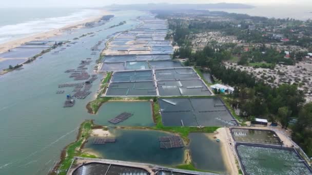 High Altitude Aerial View Modern Shrimp Growing Farms Tuy — Video