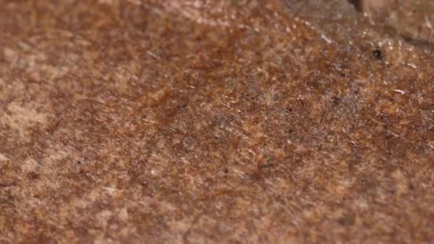 Wet Cardboard Very Close View Macro Shot Rotation Motion — Vídeo de stock