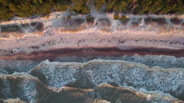 Величезні Білі Хвилі Дикого Балтійського Моря Вискочили Піщаний Пляж Прилеглий — стокове відео