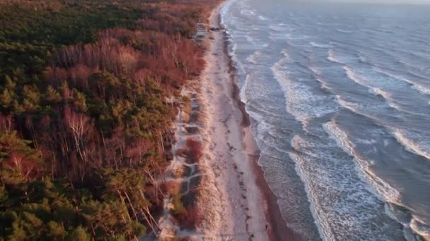 Большие Волны Белыми Гребнями Катятся Песчаному Пляжу Граничащему Густым Лесом — стоковое видео