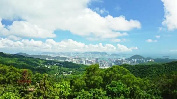Dynamic Ascending Aerial Footage Trees Revealing Beautiful Cityscape Tseung Kwan — Wideo stockowe