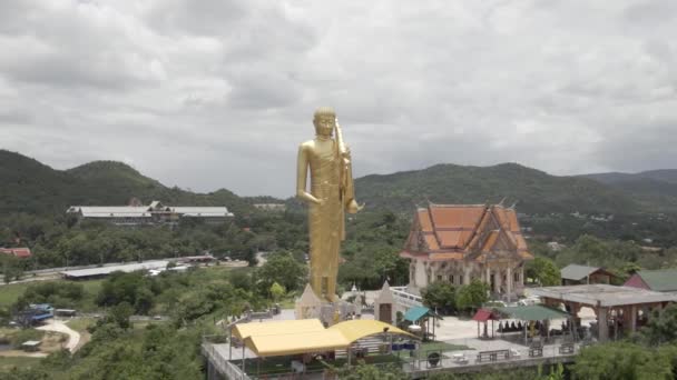 Riesige Goldene Buddha Statue Auf Einem Hügel Neben Dem Wat — Stockvideo