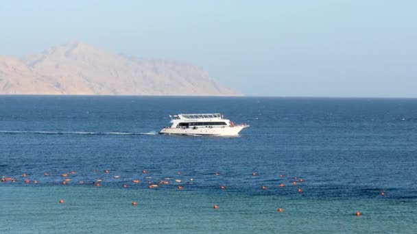 Yacht Crusing Sea Desert Sandy Island Background Red Sea Sharm — Stok video