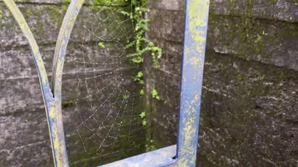 Spinnen Web Een Zeer Oud Huis Poort — Stockvideo