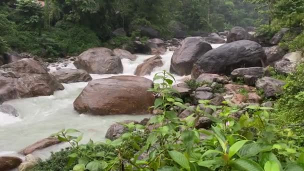 Lecho Del Río Joldhaka Jhalong Dooars Bengala Del Norte Bengala — Vídeos de Stock