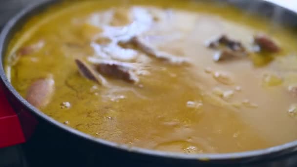 Handheld Close View Steaming Traditional Dominican Creole Food Called Sancocho — Video Stock