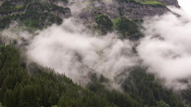 Timelapse Nuvole Basse Una Foresta Mettenberg Grindelwald — Video Stock