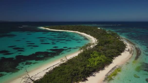Широкий Вид Мальовничий Тропічний Острів Нова Каледонія — стокове відео