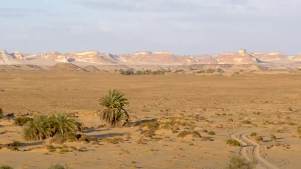 Vista Las Formaciones Desierto Blanco Egipto Con Palmeras — Vídeo de stock