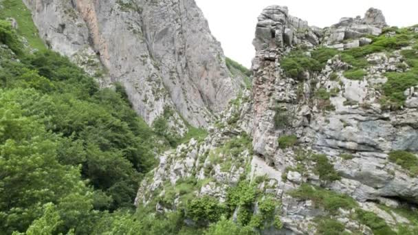 Ascenso Drones Revelando Cañón Rocoso Verde Valle Natural Asturias España — Vídeo de stock