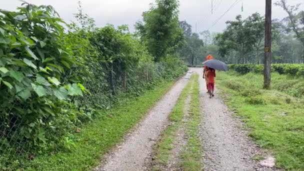 Poor Indian Woman Her Child Walking Tea Plantation Dooars West — Vídeos de Stock