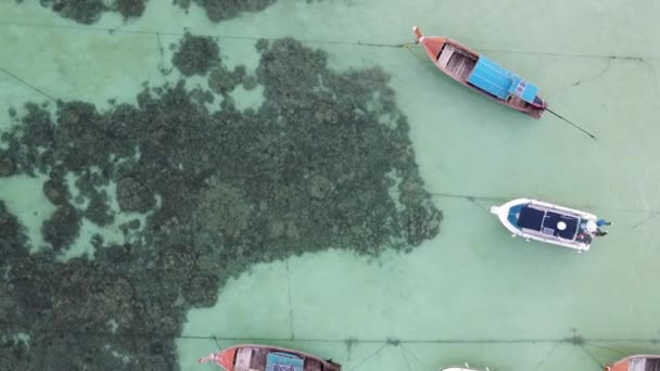 Тайские Длиннохвостые Лодки Стоящие Якоре Бирюзовой Коралловой Воде Пляже Паттайя — стоковое видео