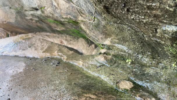 Eau Écoulant Formation Rocheuse Fermer Rochers Avec Mousse Eau — Video