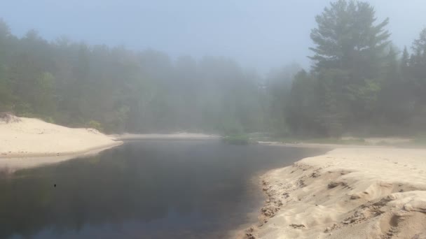 Silná Mlha Pohybující Přes Pláž Stromy Horníci Beach Munising Michigan — Stock video