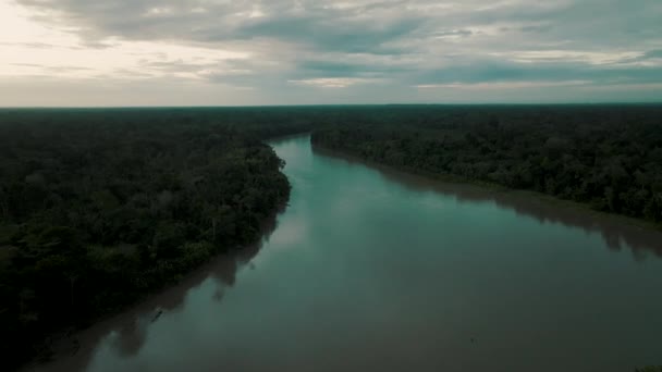 Vue Aérienne Forêt Amazonienne Rivière Dans Nuit Noire Rivière Amazone — Video