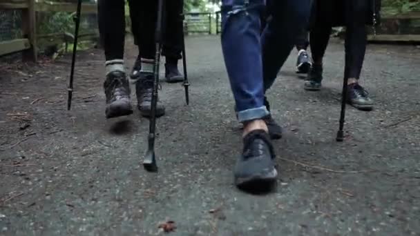 Close Shot Feet Group Hikers Walking Close Each Other Natural — ストック動画