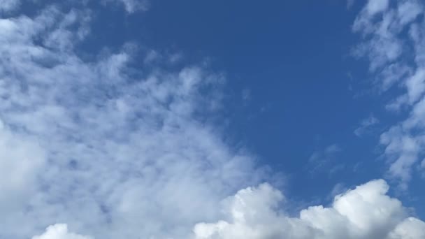 Felhők Időapszusa Kék Nyári Égbolttal — Stock videók