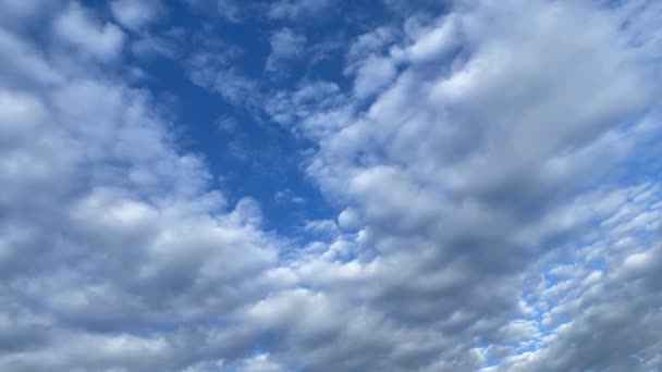 Clouds Timelapse Blue Summer Sky — Video Stock