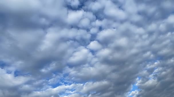Clouds Timelapse Blue Summer Sky — Video