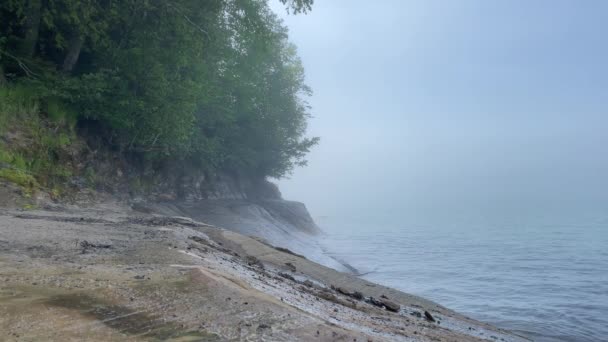 Rocky Coastline Calm Waves Foggy Day Lake Superior Trees Michigan — Wideo stockowe