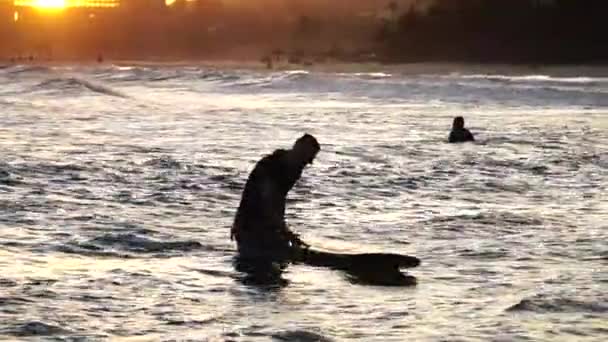 Silhouette Surfer Taking His Board Walking Out Golden Sunset — Stock Video