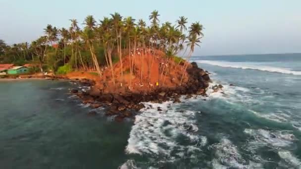 Aerial Fpv Drone Shot Palm Tree Island Just Sea Fpv — Vídeo de Stock