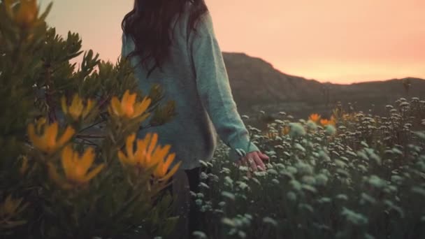 Woman Walking Field Flowers Touching Them Gently Moving Slow Motion — Vídeo de Stock