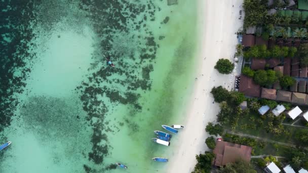 Arriba Hacia Abajo Playa Arena Blanca Arrecife Coral Koh Lipe — Vídeo de stock