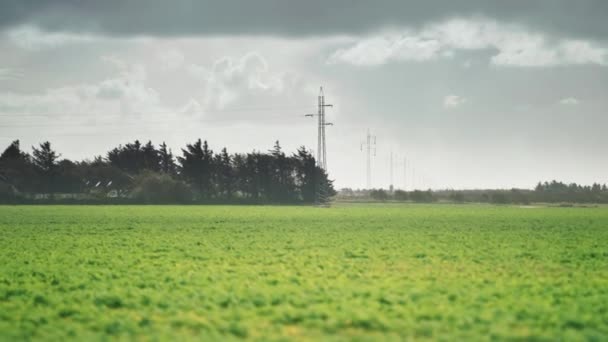 Row Powerline Towers Green Rural Landscape Slow Motion Pan Follow — Vídeos de Stock