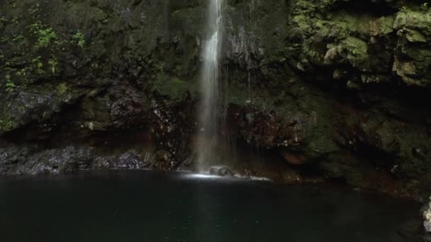 Aerial Forward Waterfall Madeira Caldeirao Verde — Vídeo de stock