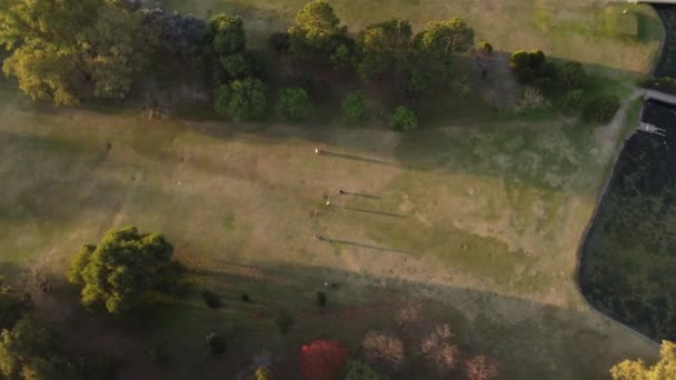 Aerial Top Circling Pov People Playing Golf Club Jos Jurado — Stok video