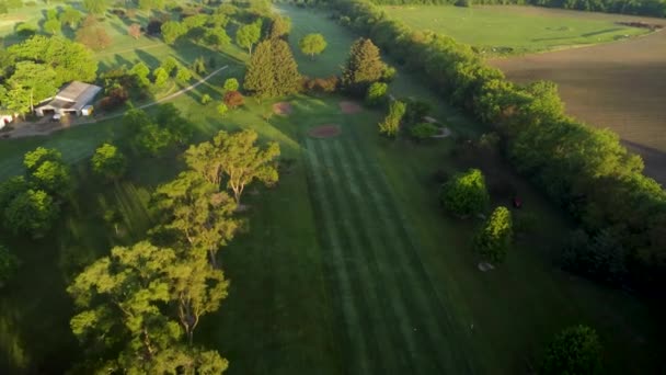 Vista Panoramica Linee Prato Appena Falciato Erba Verde — Video Stock