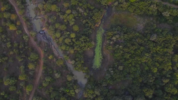 Річкові Каскади Через Кущі Африканських Джунглях Очі Птаха Виштовхнути Погляд — стокове відео