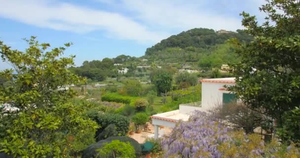 Panning Medieval European Style Architecture Houses Roofs Beautiful Flowers Capri — Vídeo de Stock