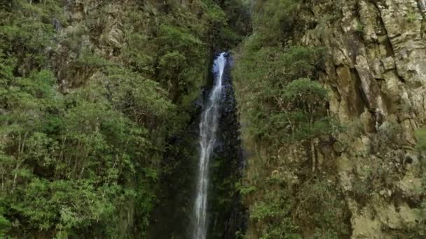 Veduta Aerea Una Cascata Dall Alto Verso Basso Madeira Caldeirao — Video Stock