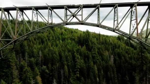 Nad Mostem Vrcholu Lesa Vysoký Ocelový Most Příhradový Obloukový Most — Stock video