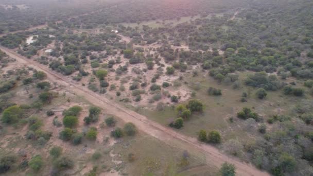 Брудна Дорога Перетинає Віддалений Ландшафт Африканських Саванах Повітряне Нахилення Вгору — стокове відео