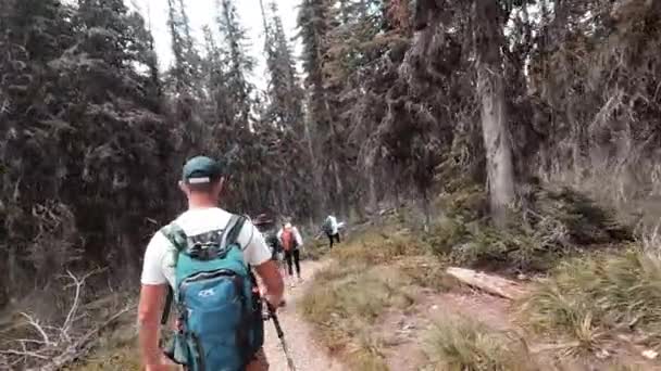 Trekking Grupo Por Sendero Con Mochilas — Vídeos de Stock