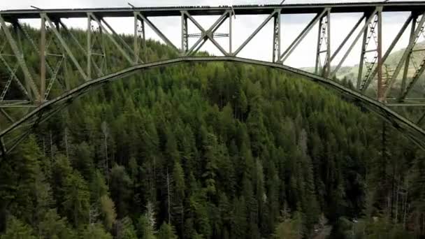 Volando Sotto Ponte Sulla Cima Una Foresta High Steel Bridge — Video Stock