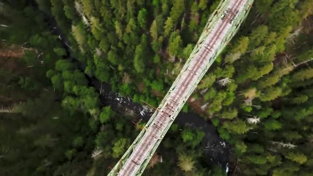 Cinematic Rotation Bridge Top Forest – Stock-video