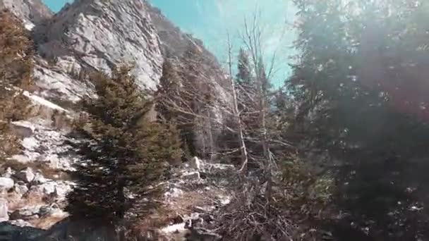 Trekking Través Duras Condiciones Camino Rocoso Con Pequeño Río Medio — Vídeo de stock