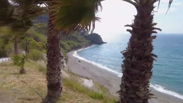 Looking Beach Maro Windy Day Palm Trees Road Leading Beach — Vídeos de Stock