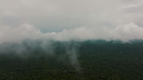 Aerial Flight Dense Grey Clouds Brown Colored Amazon River Green — Stock Video