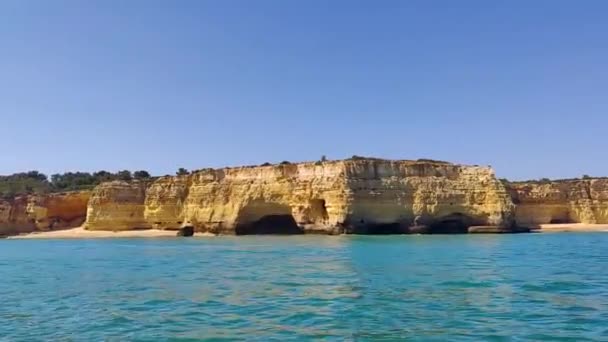 Taucher Bögen Entlang Der Felsigen Küste Der Algarve — Stockvideo