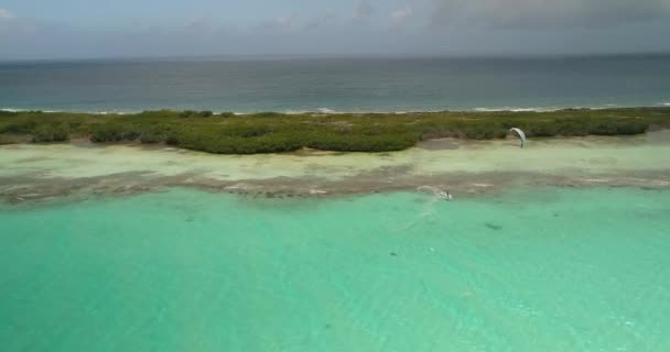 Aerial Approach Kitesurfer Using White Kite Flat Water Tropical Mangrove — Vídeo de Stock