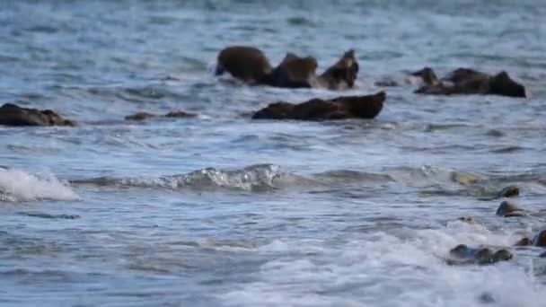 Sea Waves Breaking Rocks Estepona Spain Close Slow Motion Low — Stock Video