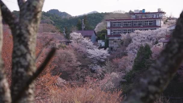 Beautiful Yoshino Nara Japan Spring Colors Countryside Mountain Town — Stockvideo