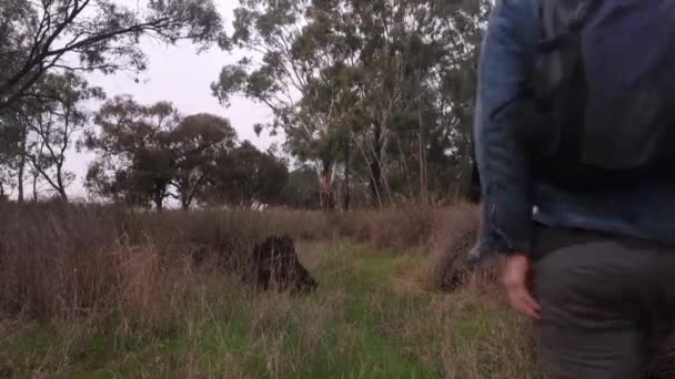 Een Visser Loopt Door Struikgewas Wimmera Een Droge Kreekbodem Met — Stockvideo