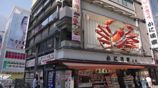 大阪Minami的Dotonbori街沿线的巨型螃蟹标志和餐馆 — 图库视频影像